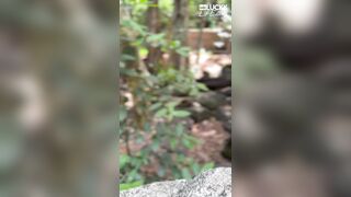 Jade Harper A Real Australian Experiance